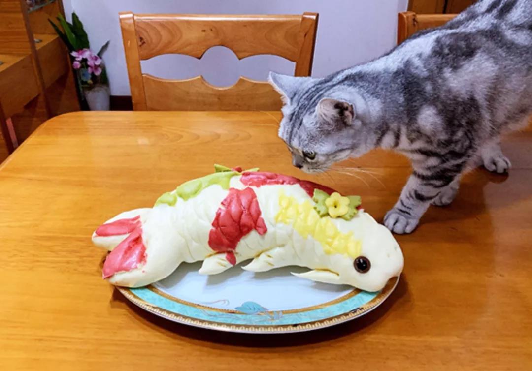 面鱼丨拍摄 樊北溟