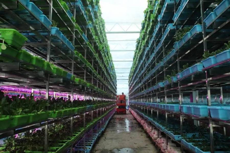 潍坊“下猛药”推进数字农业农村发展，到2025年走在全国前列