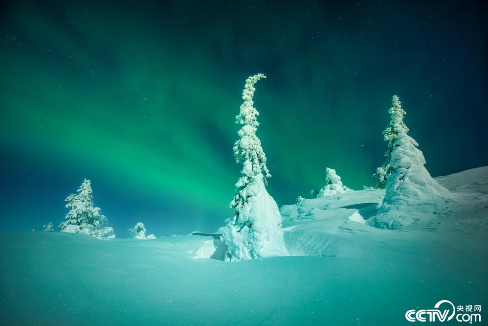 俄罗斯摩尔曼斯克现绝美极光