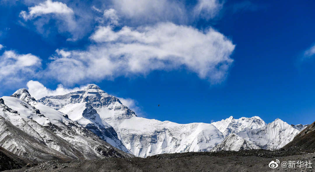 001R0E0aly1h1zz2ffagoj61it0u04cy02.jpg?x-oss-process=style/w10