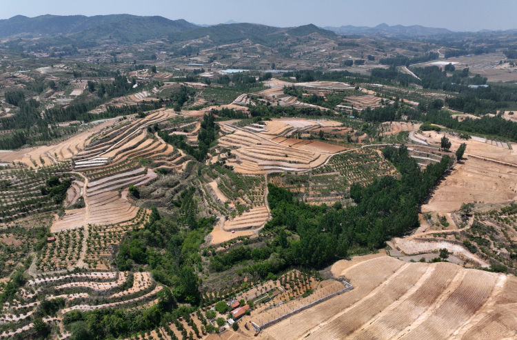 蹲點調查大調研沂源縣大張莊鎮念好土地經趟出致富路