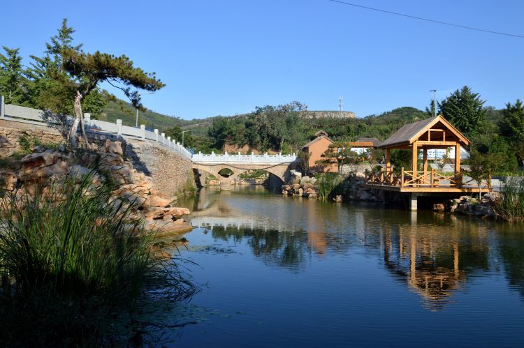 小镇巡礼丨沂源县东里凤驿小镇田园柳舍筑巢归心之所