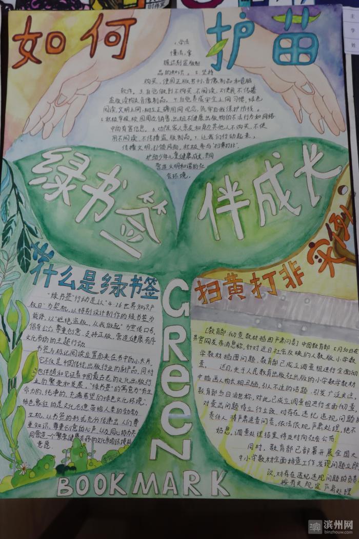滨州市中小学生扫黄打非护苗在行动手抄报大赛圆满完成