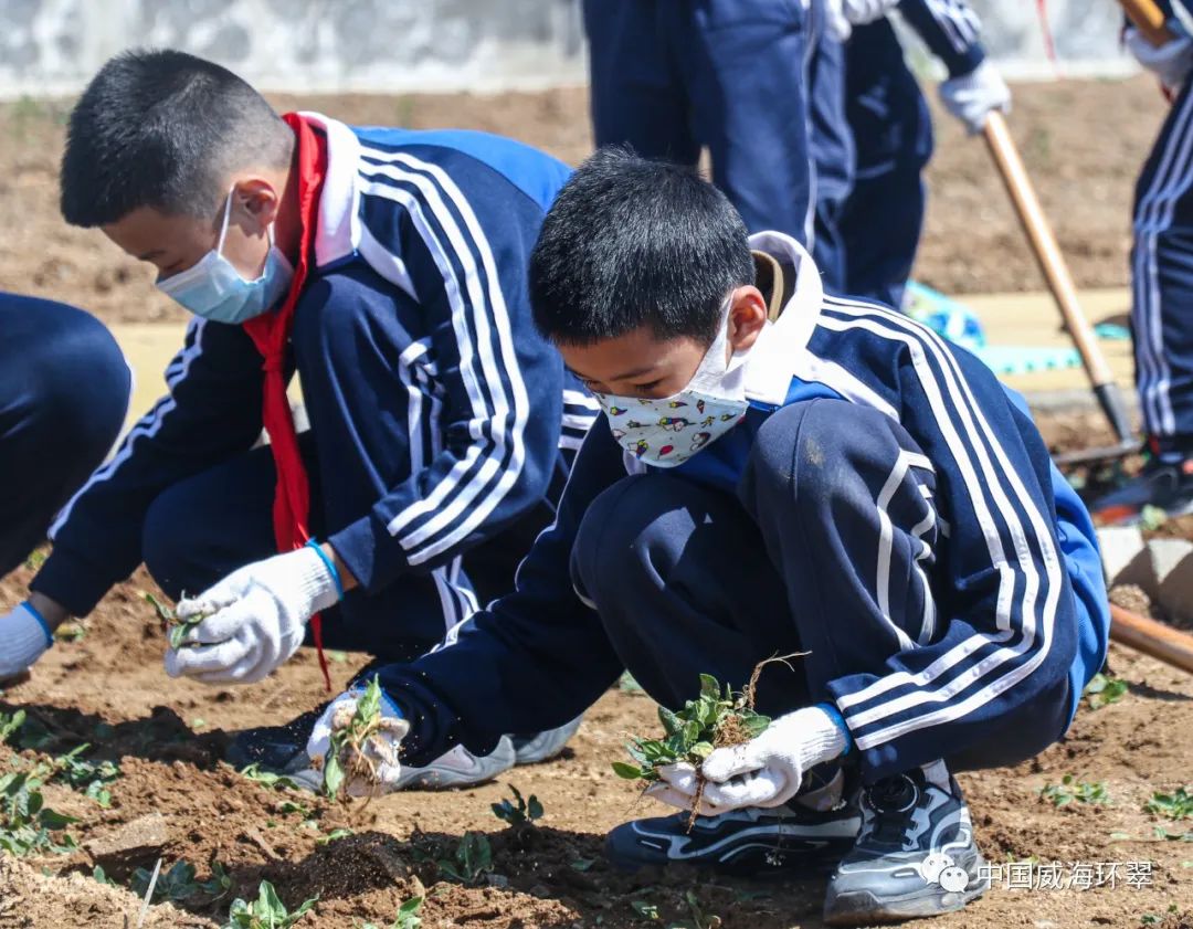威海环翠区中小学实践基地迎来首批小学生体验者