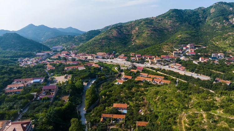 来青岛城阳收获酸酸甜甜美秋季2023惜福镇街道宫家村葡萄文化季9月1日