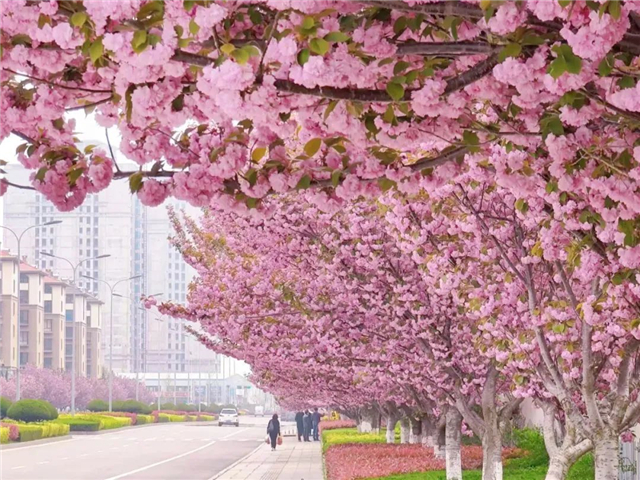 威海繁花即将上线