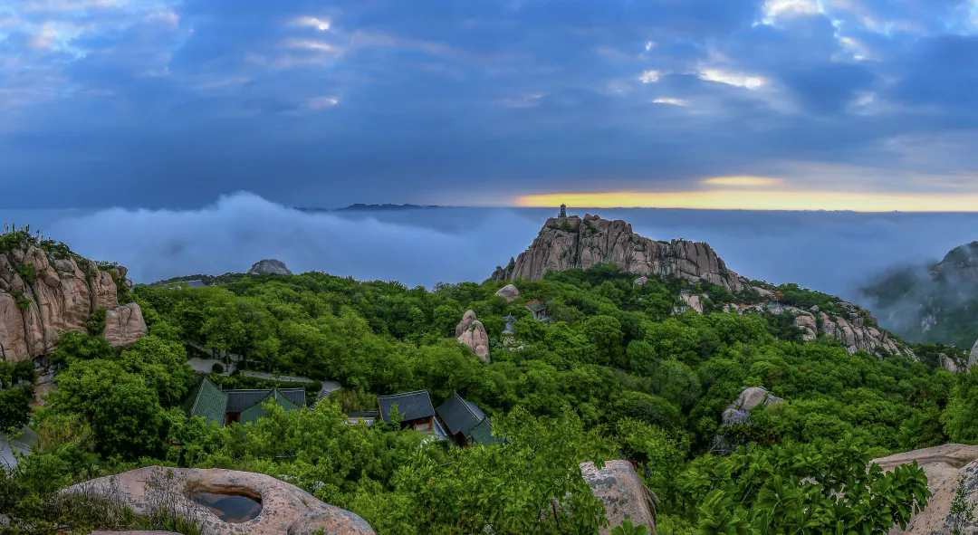 又是被"日照"的一天