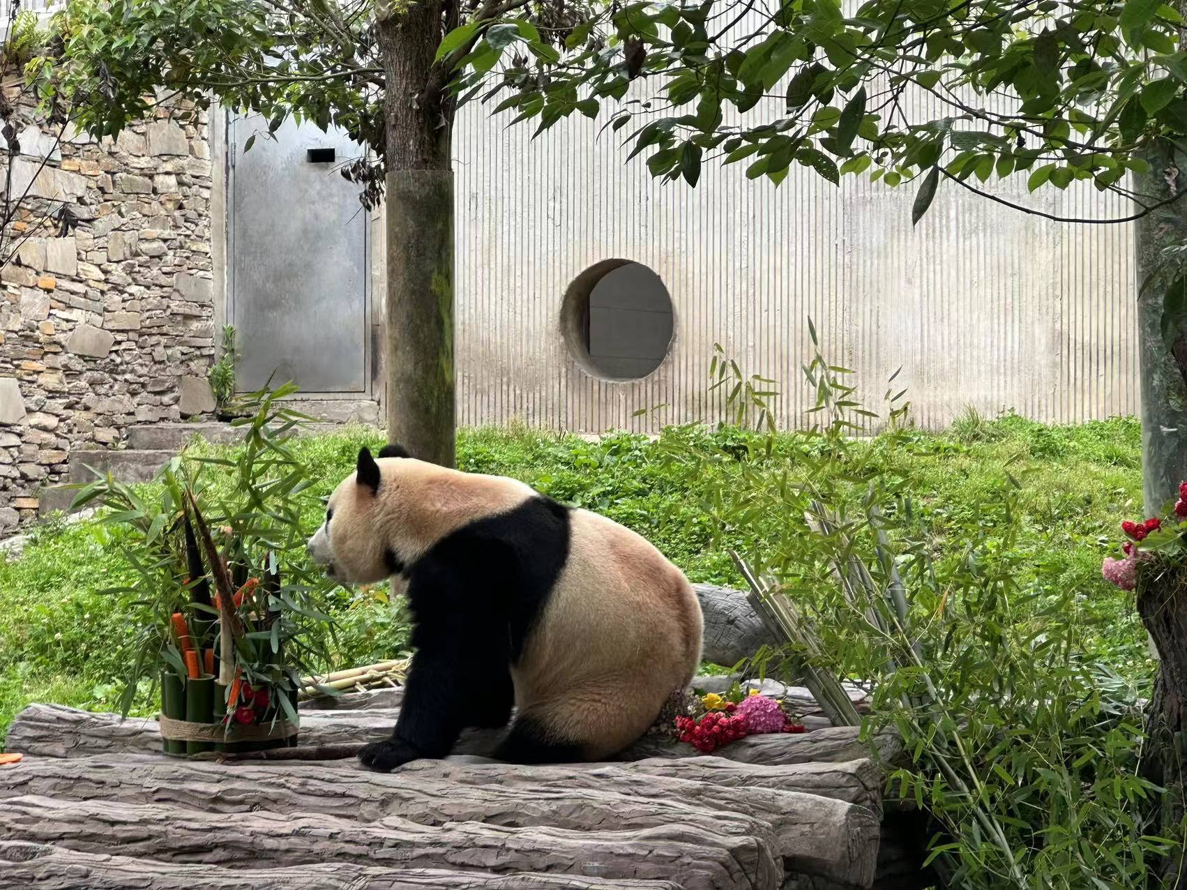 1718158156330878.jpg?x-oss-process=style/w10 d87ceafb5d6249d5bd11de15b544b5d.jpg?x-oss-process=style/w10