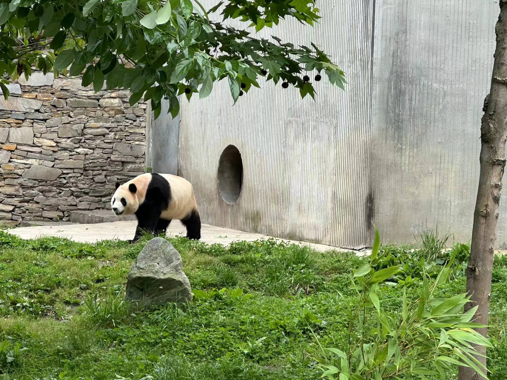 1718158184108671.jpg?x-oss-process=style/w10 9cef7bb0fb8d15caa62a23964f5dfdc.jpg?x-oss-process=style/w10