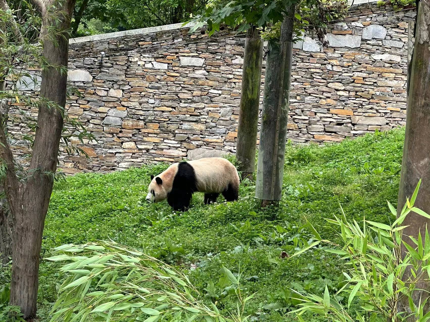 1718157898502504.jpg?x-oss-process=style/w10