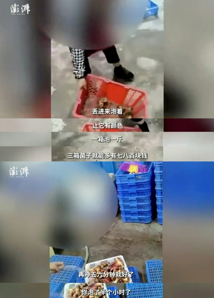 “野生菌泡水”视频引热议，云南姚安回应