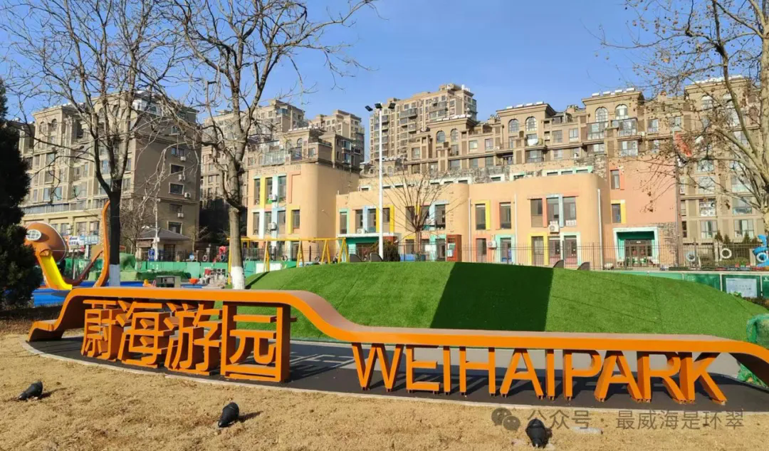 回首2024丨威海市环翠区：看见城乡蝶变的无限幸福(图1)
