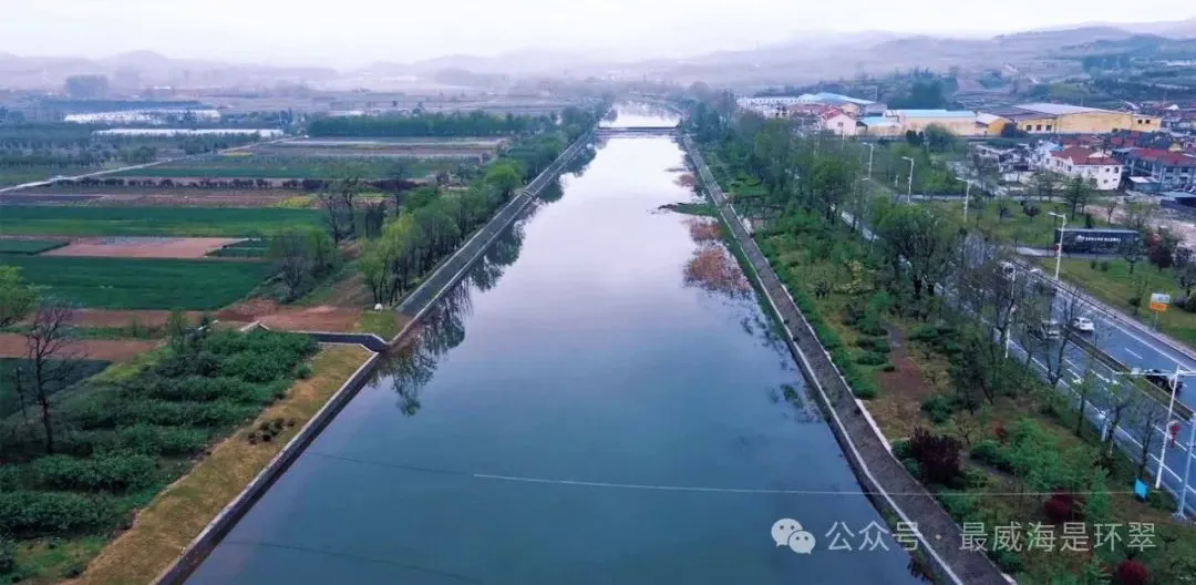 回首2024丨威海市环翠区：看见城乡蝶变的无限幸福(图5)