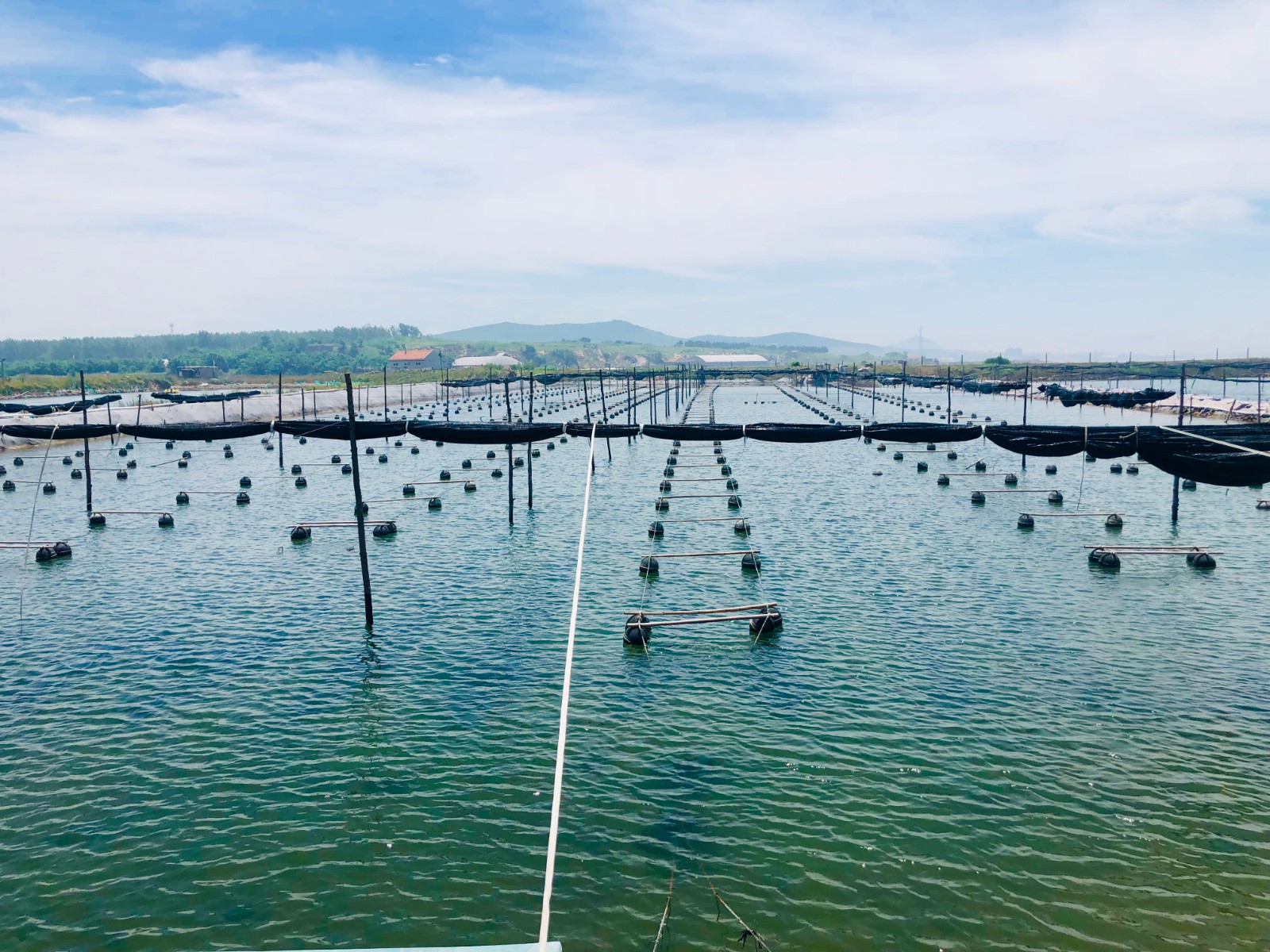 【美丽乡村】组图:田横岛省级旅游度假区催诏村