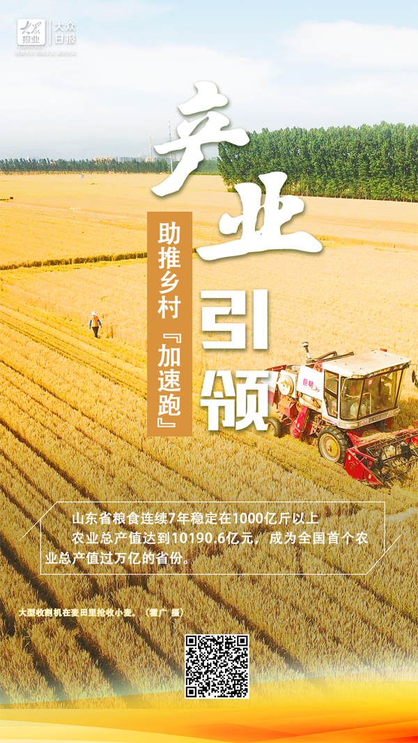 （▲识别二维码看《产业引领 助推“加速跑”》）