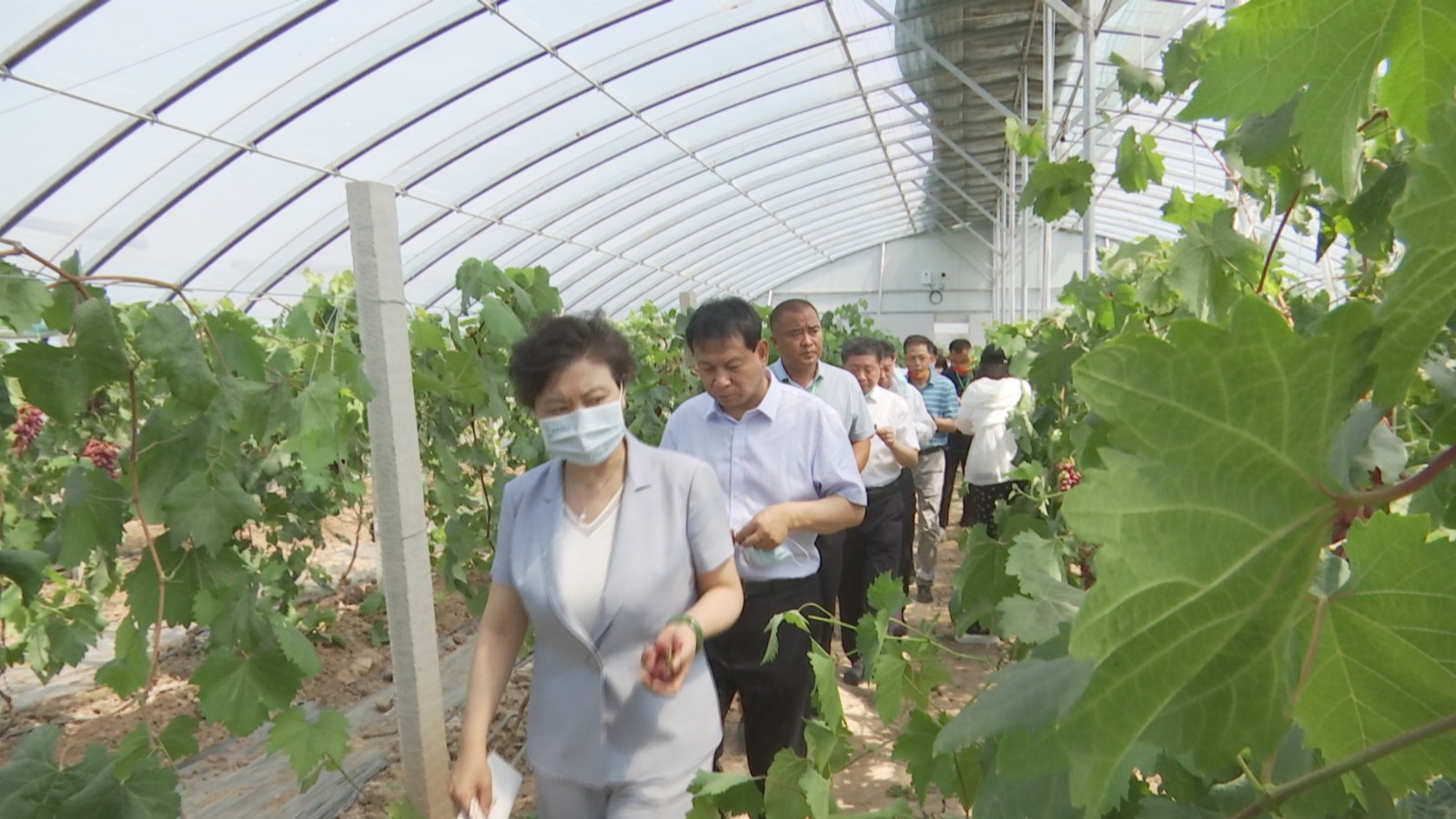 2022��������������������ũ����Ʒչ�����ߵ��Ľ조��԰��������ׯ����ժ�ڻ������ׯ�ٰ�20220603_154257