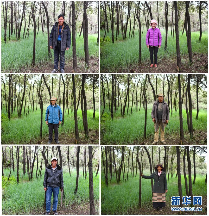 （新华全媒头条·图文互动）（7）庄重的承诺 历史的奇迹——西藏自治区决战脱贫攻坚纪实 