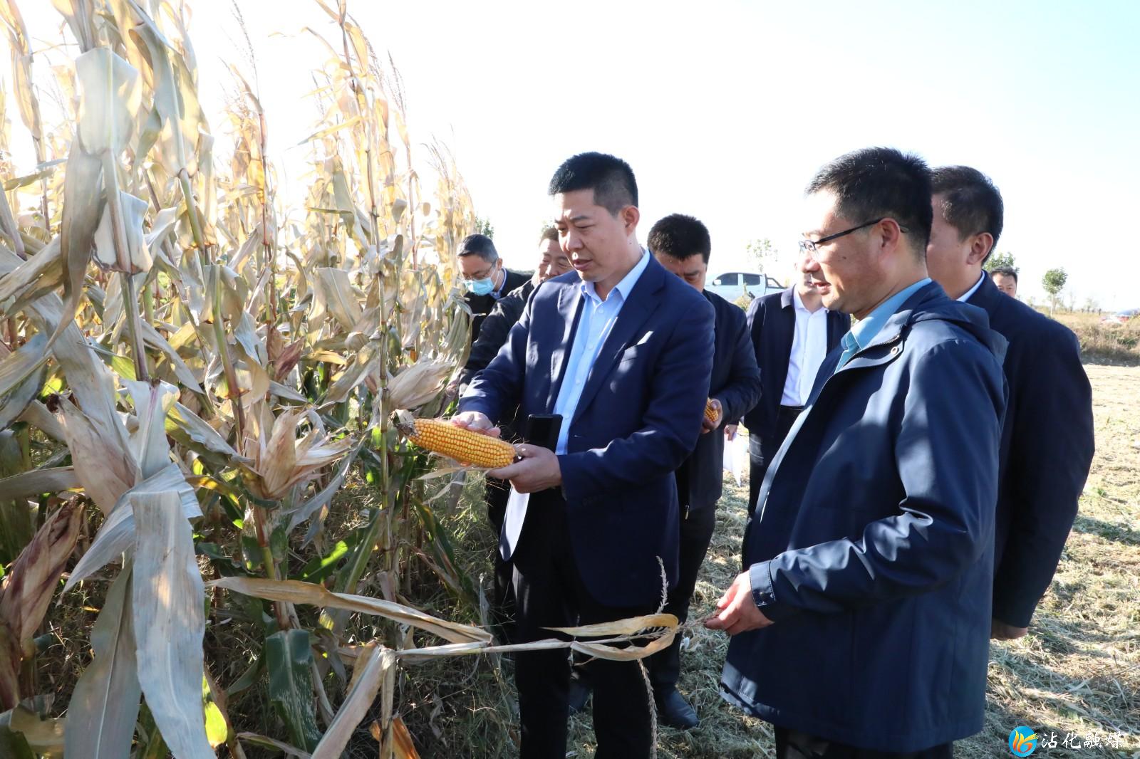 赵东到冯家镇调研