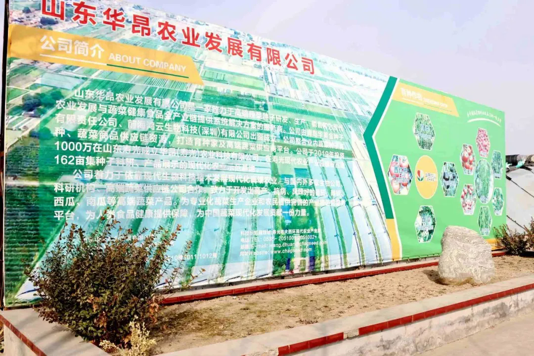 寿光设计制作网站 sdxw.iqilu.com