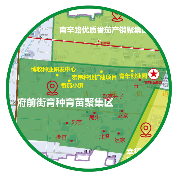 闪电号>媒体>寿光市融媒体中心>打造府前街育种育苗聚集区.