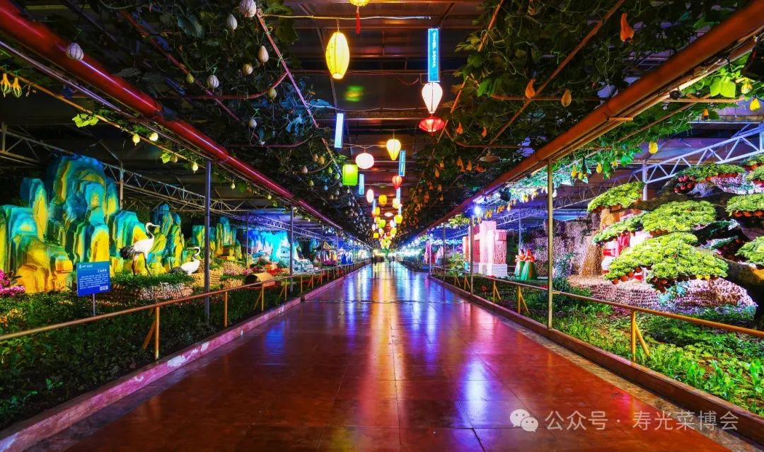 潍坊寿光:万千菜果 良种打造——来菜博会探寻不一样的蔬菜文化之旅