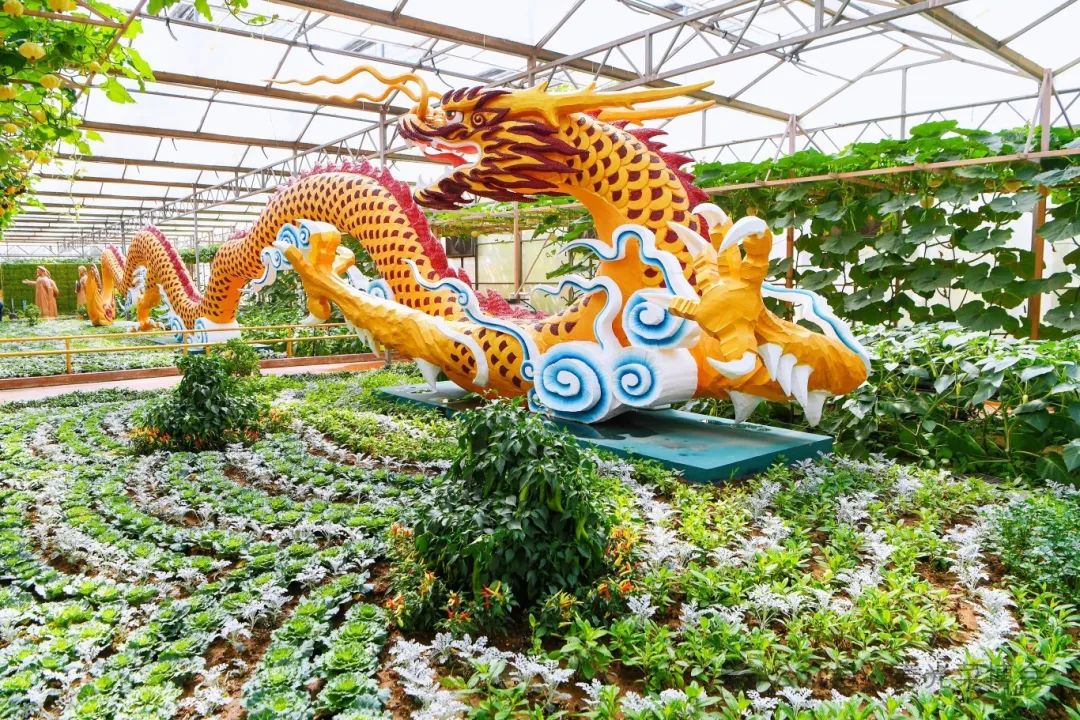 潍坊寿光:万千菜果 良种打造——来菜博会探寻不一样的蔬菜文化之旅