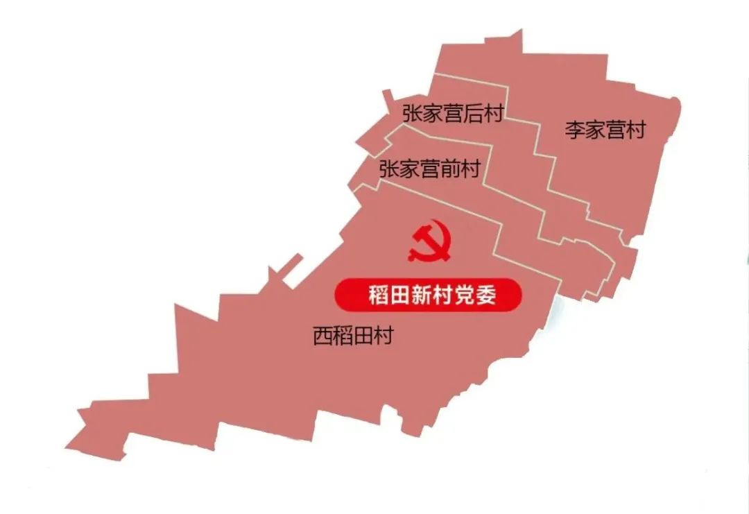 【寿光】稻田镇稻田新村党委:跨村联建 "跨"出共富之路