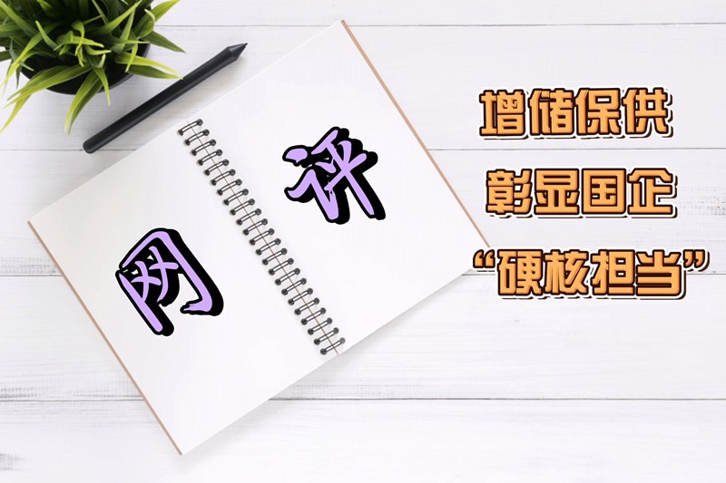 网评_副本