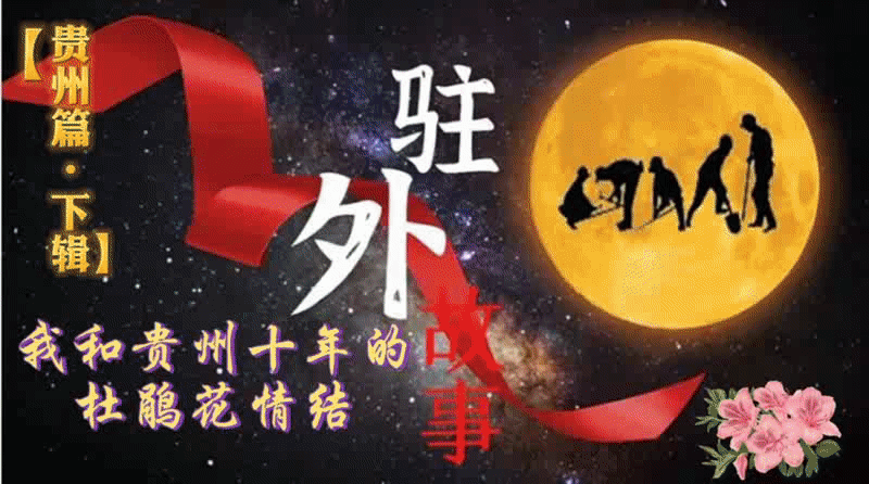 动图