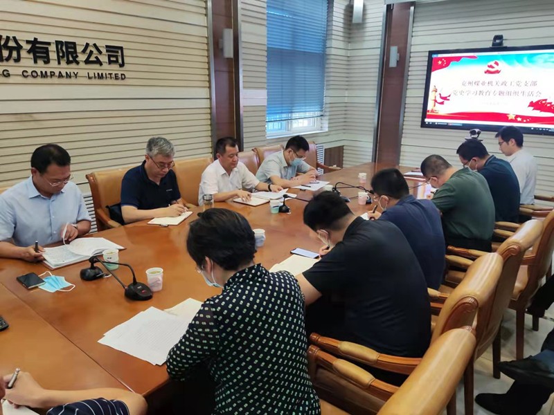 党史学习教育专题组织生活会_副本