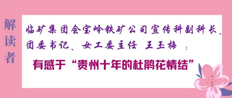 解读者_副本
