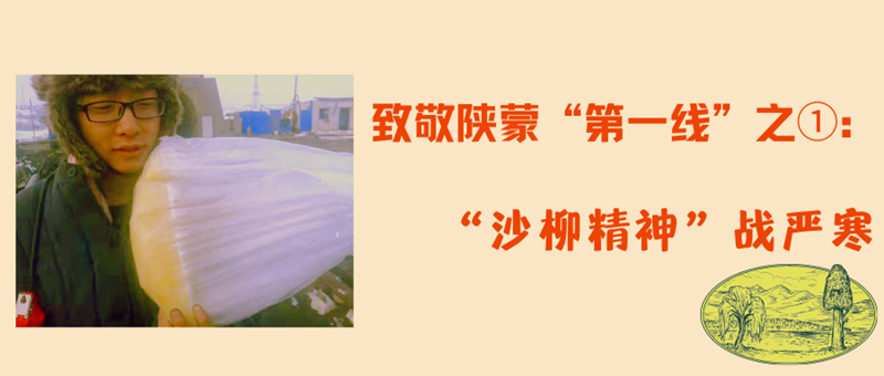 致敬陕蒙“第一线”之①：沙柳精神战严寒_副本