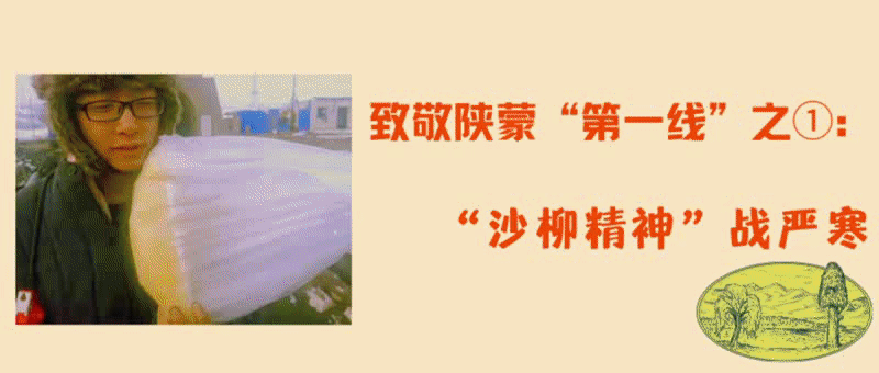 996956928bc1e4f5caafafc2adfacd96