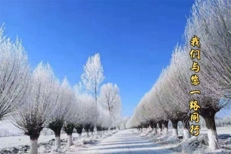 QQ图片20211206114240
