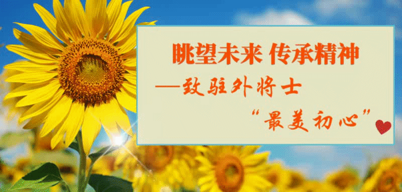 动图驻外