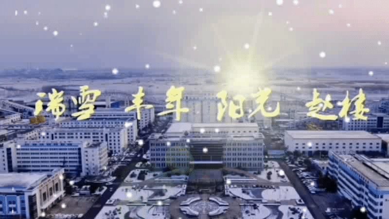 阳光
