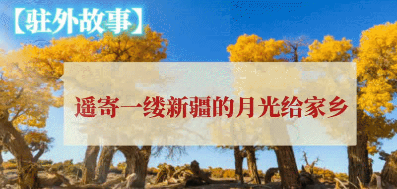 新疆动图