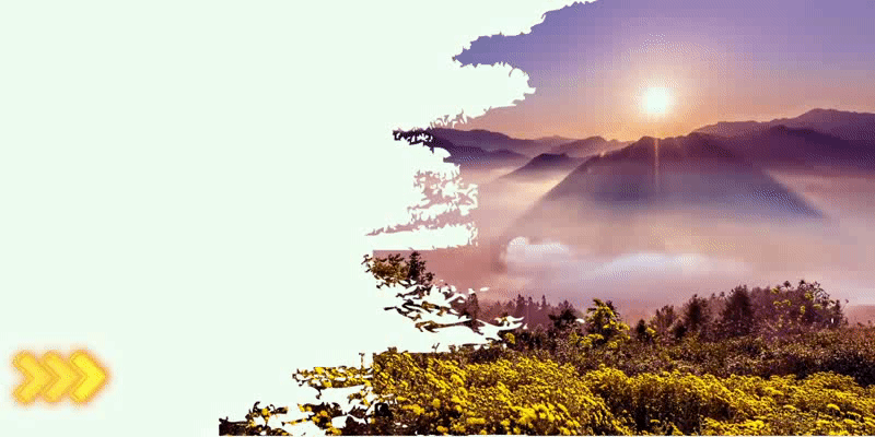 山东情