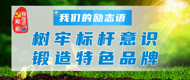 QQ图片20221201162225