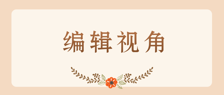 编辑视角