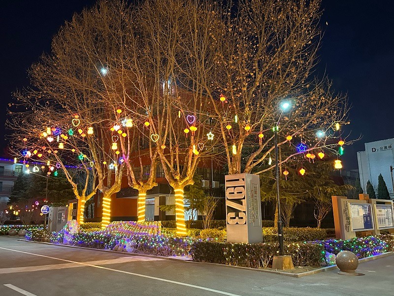 教培中心校园彩灯夜景2