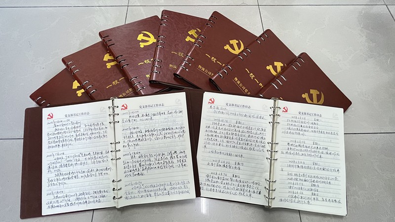 党支部书记工作日志