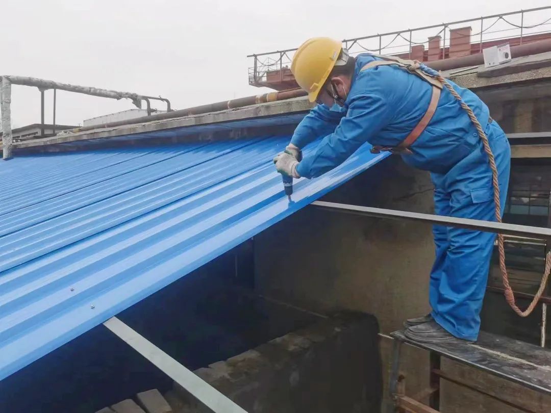 柴里图片3.7 (2).jpg