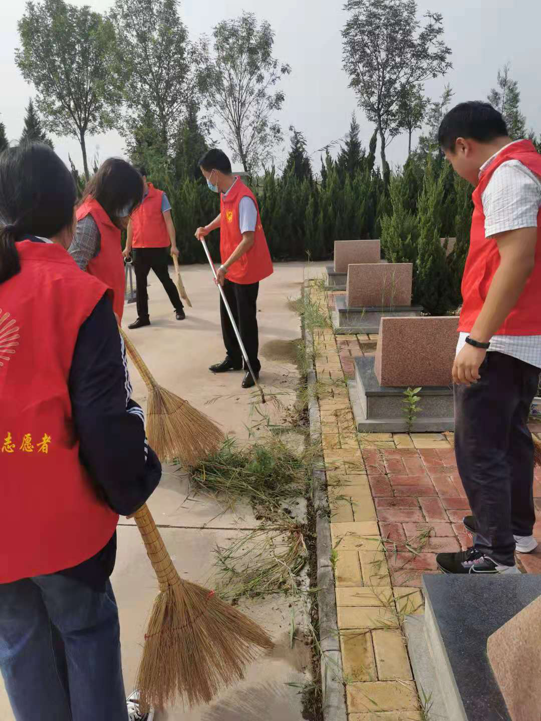 图片15