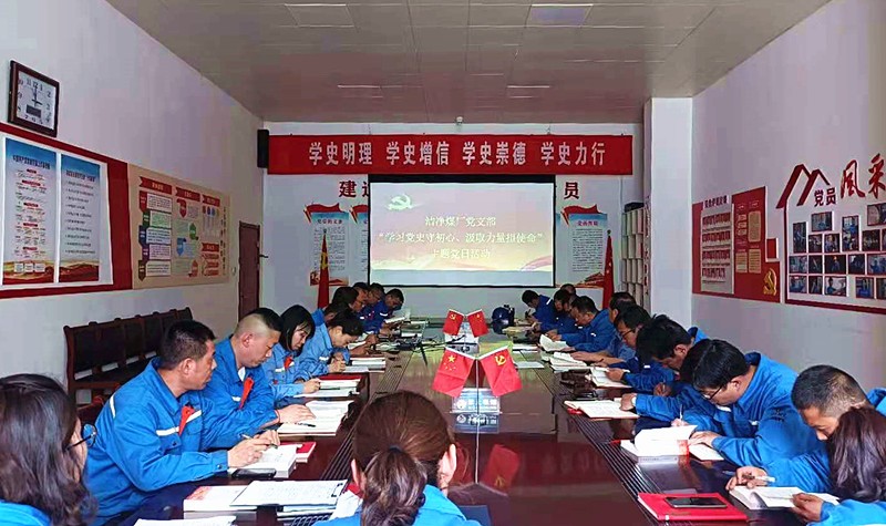 利用主题党日活动，开展党史学习教育专题学习（图片2）