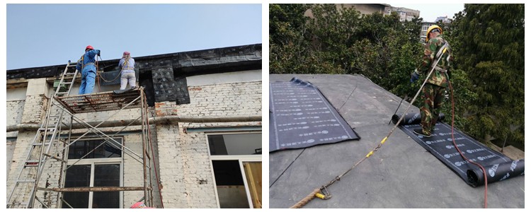 QQ图片20210927181831