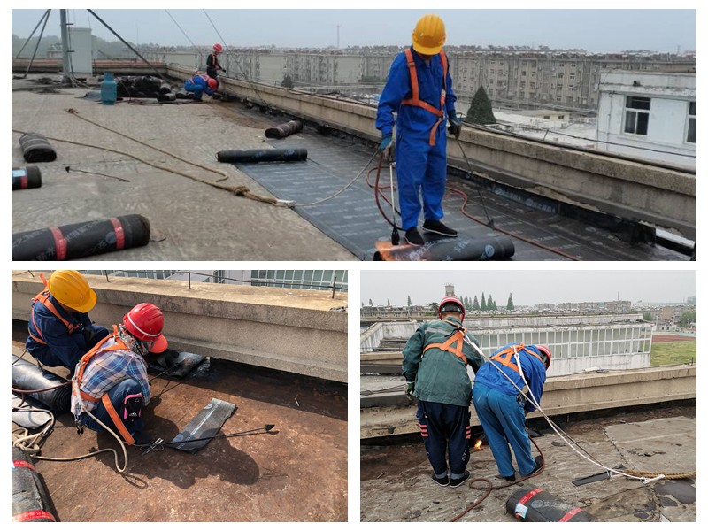 QQ图片20220427101944_副本