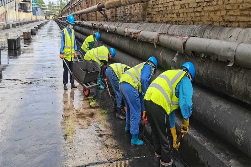 d471d0217b1de39a5454ac702eed390