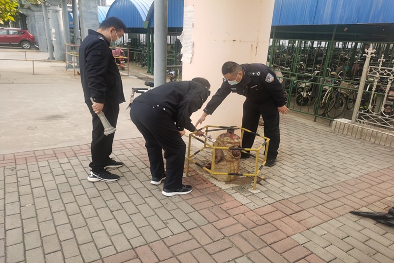 微信图片_20221014153715_副本33333