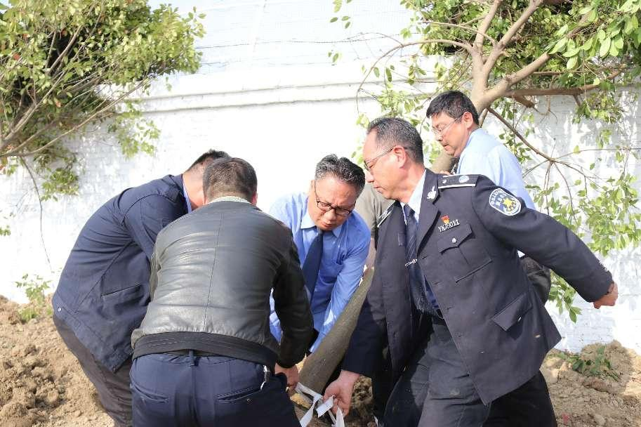 图片8